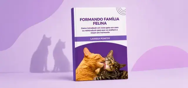 Formando Família Felina