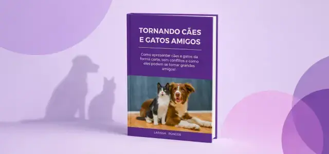 Tornando Cães e Gatos Amigos