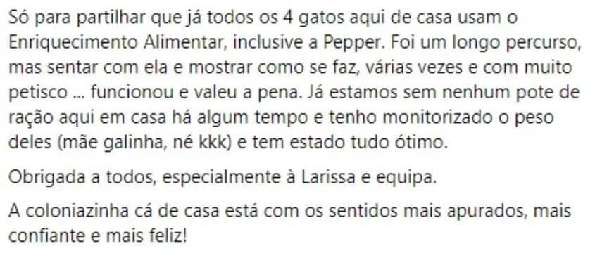 Depoimento: os 4 gatos da casa usam o enriquecimento alimentar, já não há nenhum pote de ração e eles estão mais confiantes e felizes