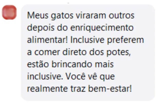 Depoimento: meus gatos viraram outros depois do enriquecimento alimentar, estão brincando mais e dá pra ver que traz bem-estar