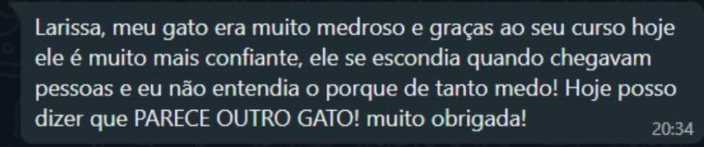 Depoimento sobre um gato mais confiante