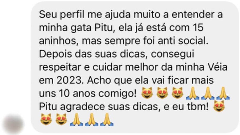 Depoimento sobre a gata Pitu