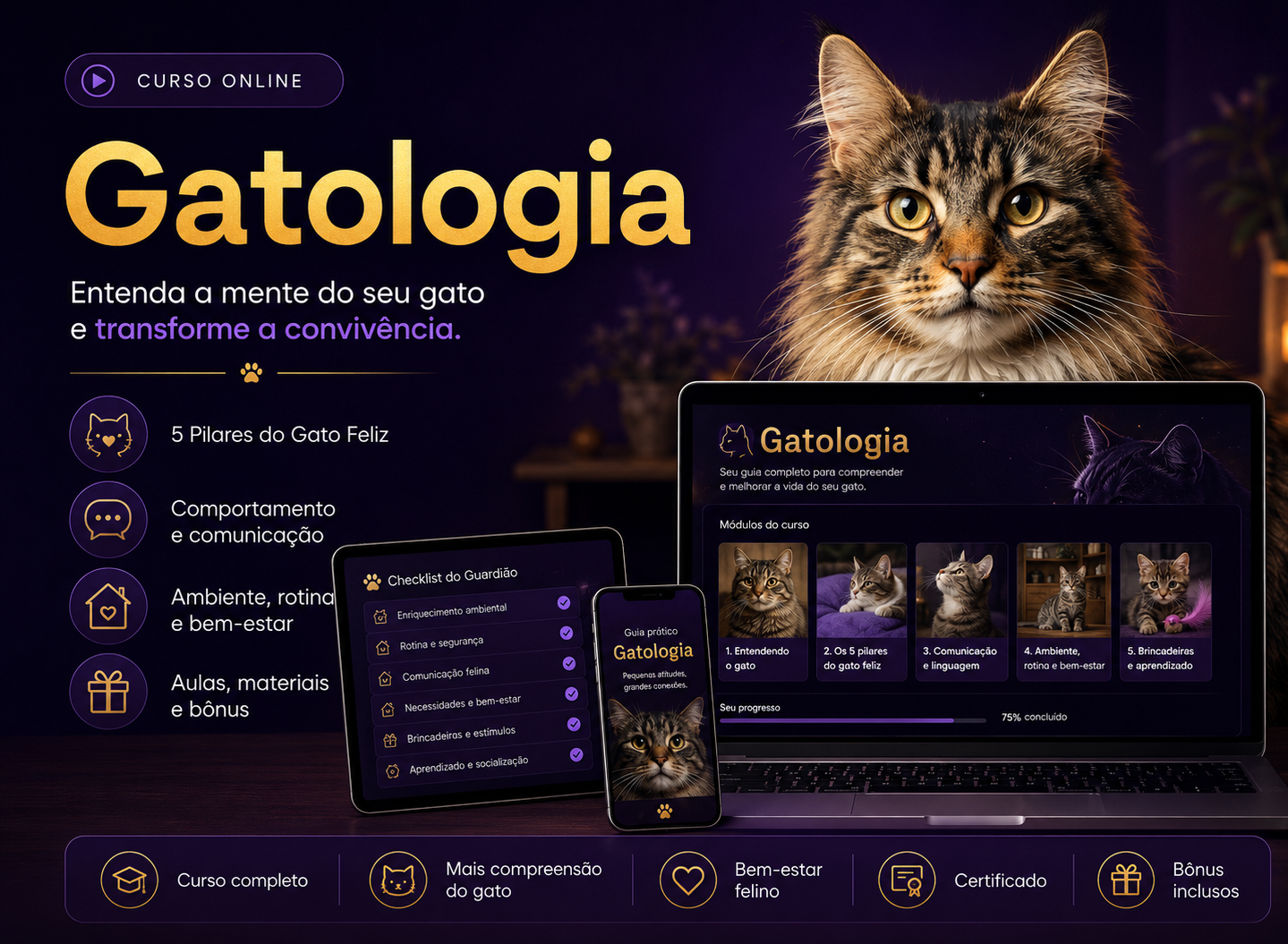 Gatologia