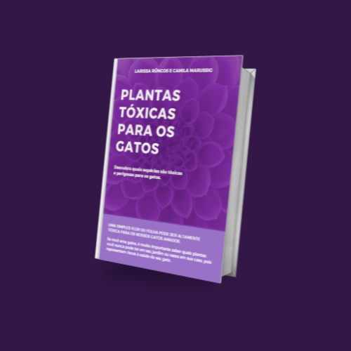 Plantas Tóxicas para Gatos