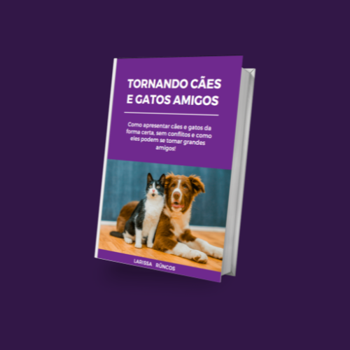 Tornando Cães e Gatos Amigos