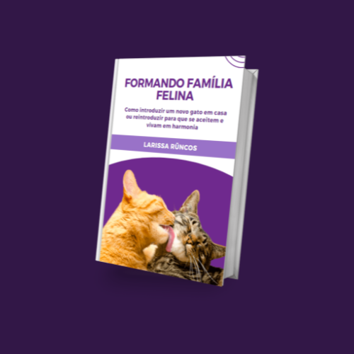 Formando Família Felina