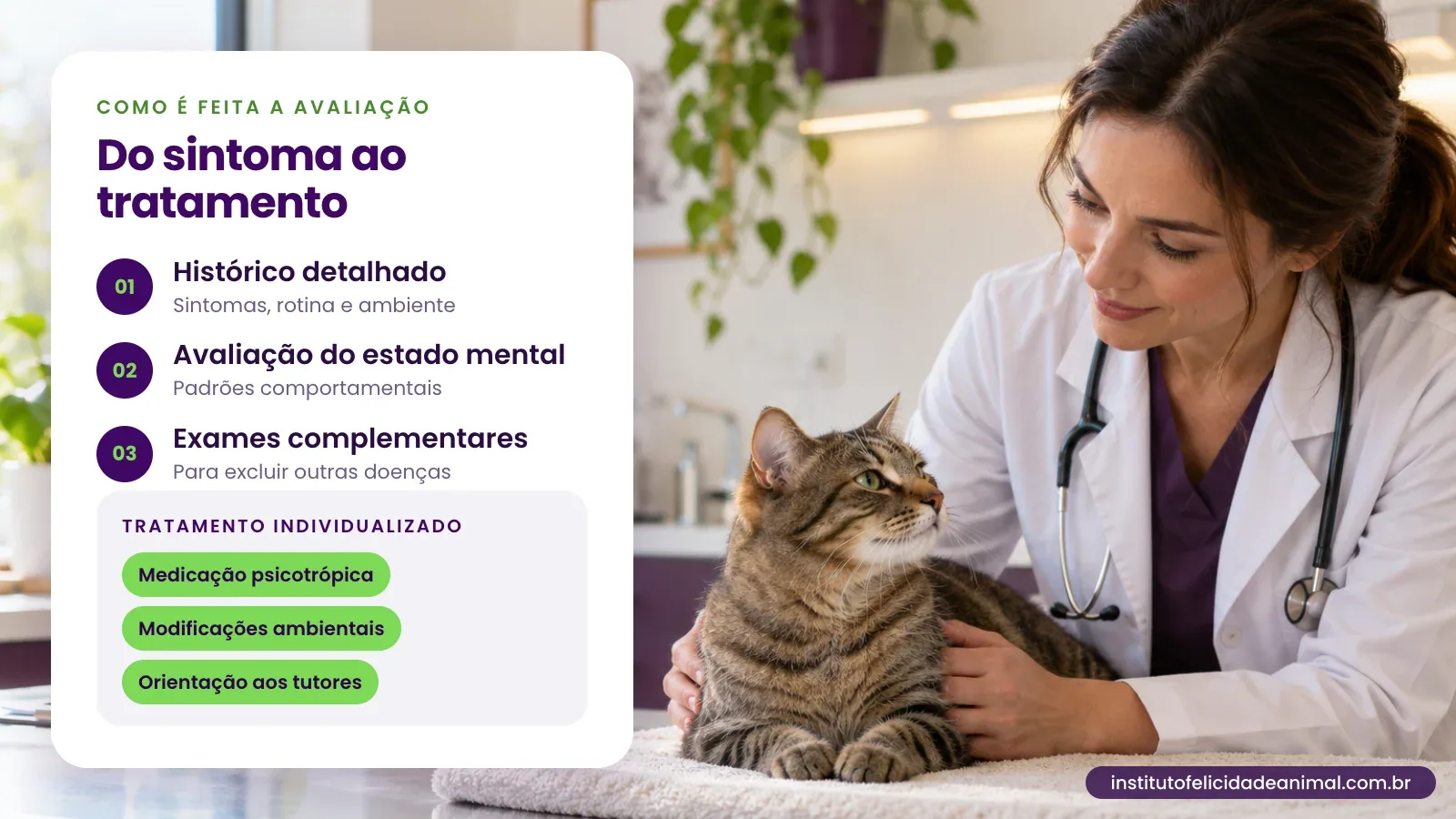 Médica veterinária com um gato tigrado na mesa de atendimento. Do sintoma ao tratamento: 01 histórico detalhado, 02 avaliação do estado mental, 03 exames complementares. Tratamento individualizado: medicação psicotrópica, modificações ambientais e orientação aos tutores.
