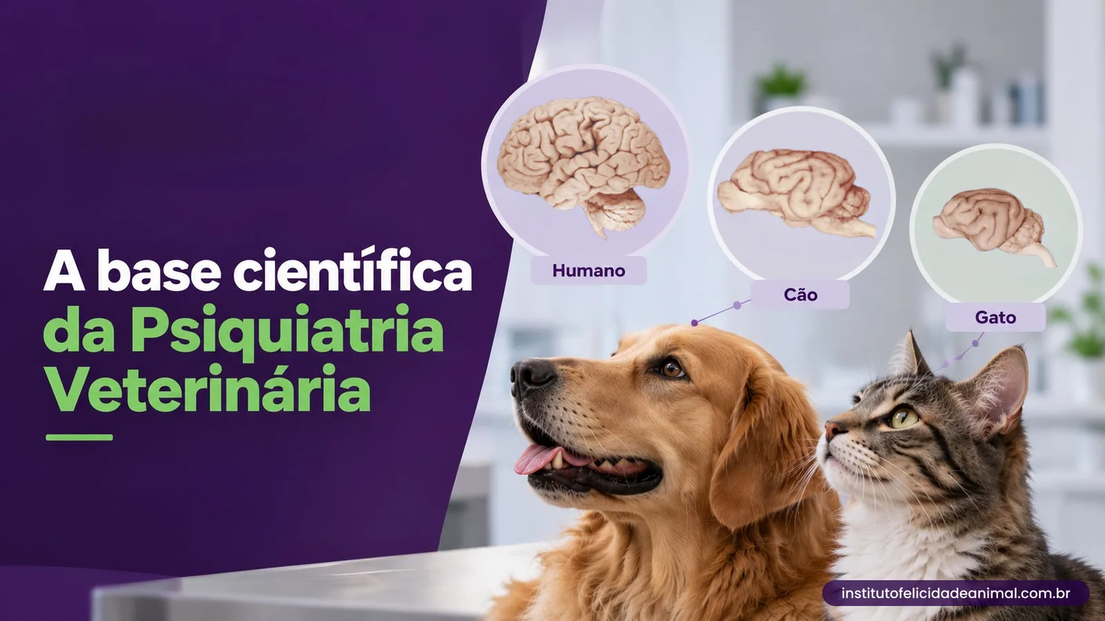A base científica da Psiquiatria Veterinária: cérebros de humano, cão e gato em destaque acima de um cão e um gato.