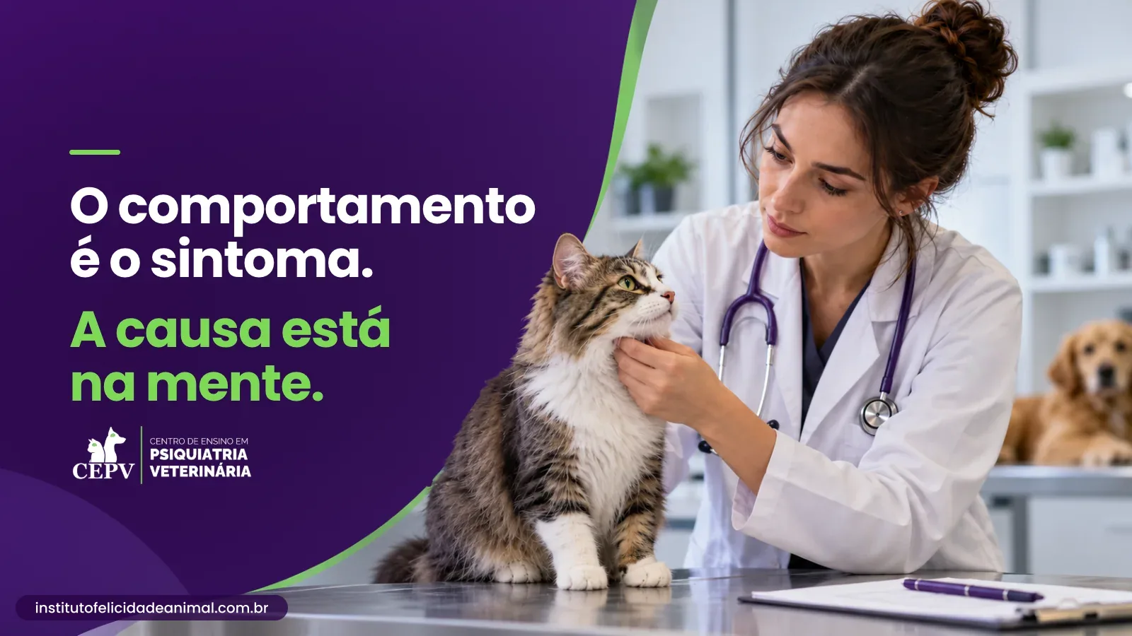 Médica veterinária examina um gato tigrado na mesa de atendimento, ao lado da frase: o comportamento é o sintoma, a causa está na mente. Assinatura do CEPV.