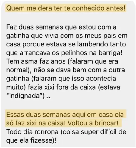 Depoimento: a gata que fazia xixi fora da caixa passou a fazer só na caixa em duas semanas e voltou a brincar