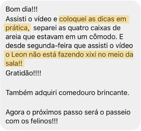Depoimento: depois de separar as caixas de areia, o gato Leon parou de fazer xixi no meio da sala